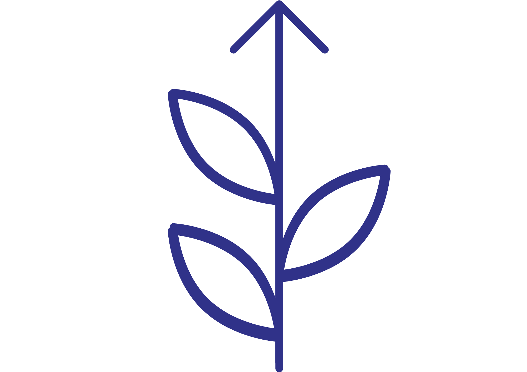 Continuous Development